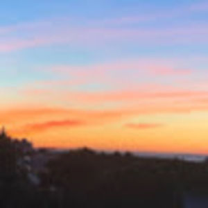 Meet your Posher, Ella